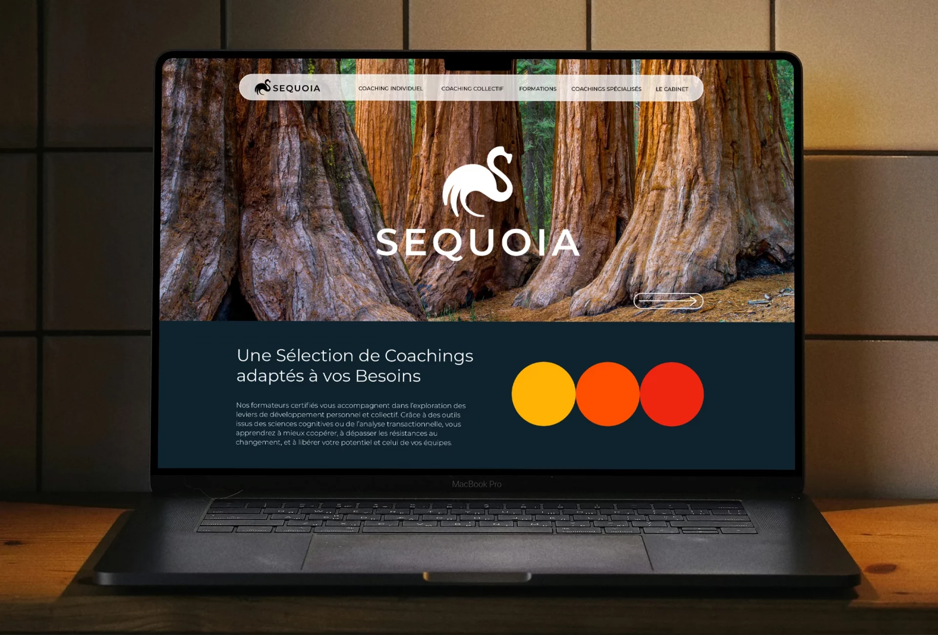 Sequoia Conseil