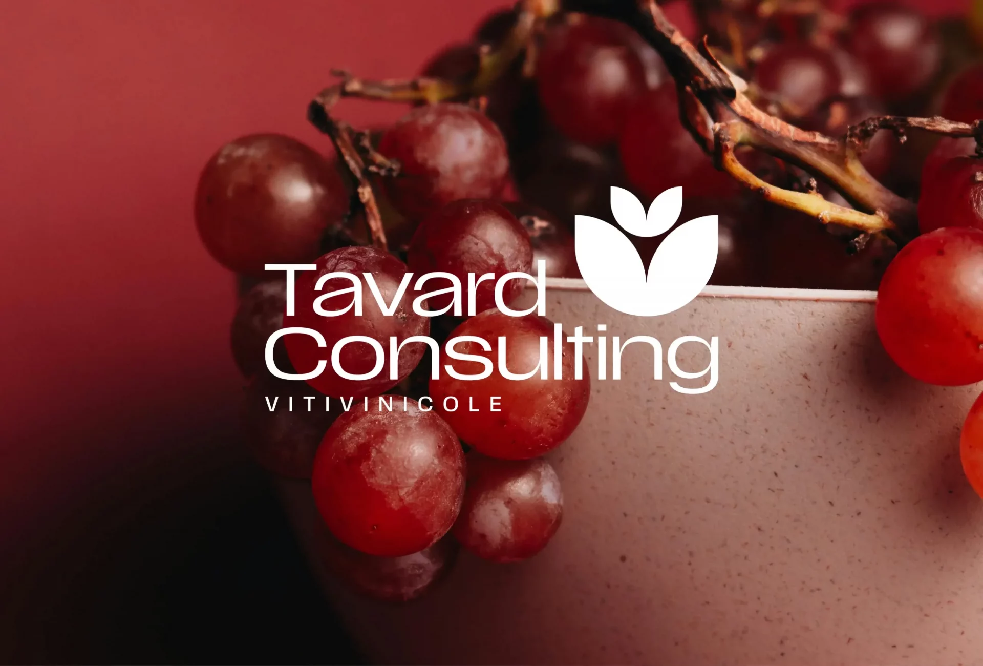 Tavard consulting